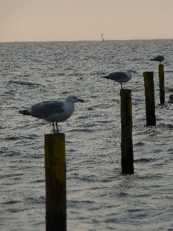 Norddeich