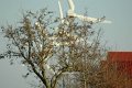 Norddeich20100406_001_prot