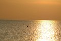 Norddeich20100406_034_prot